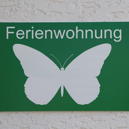 Ferienwohnung Schmetterling Trendelburg Exterior photo